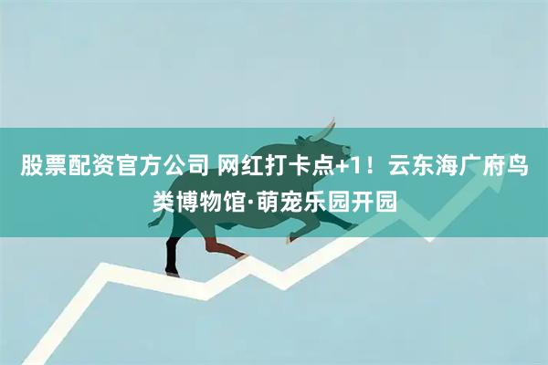 股票配资官方公司 网红打卡点+1!云东海广府鸟类博物馆·萌宠乐园开园