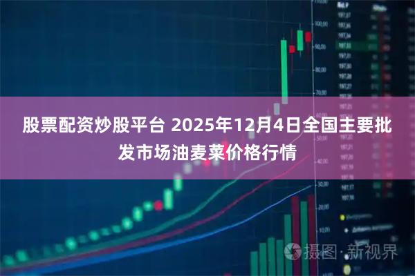 股票配资炒股平台 2025年12月4日全国主要批发市场油麦菜价格行情